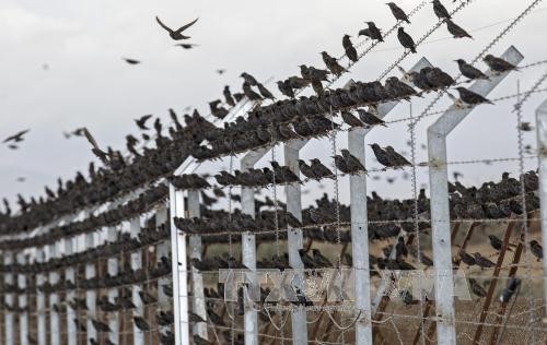 Israel completes 10km security barrier in West Bank - ảnh 1